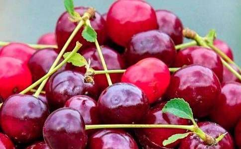 ����ˮ�����꼶����300�ֻ����ƪ