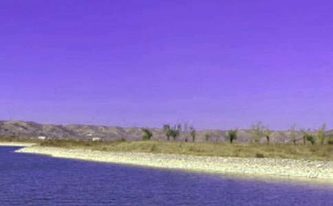 水库移民工作总结(精选5篇)