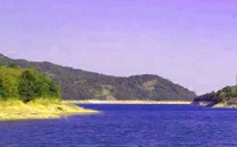 《请重视弹性水库》阅读答案【热门】