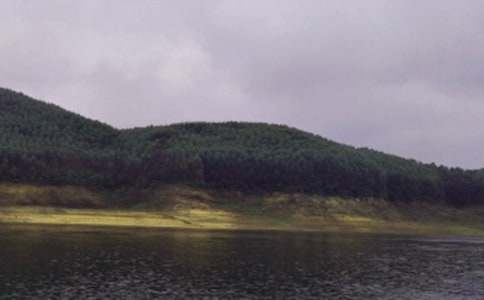 美丽的水库作文300字六篇