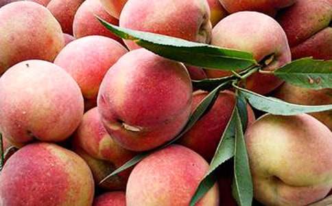 ����ѡ�������ˮ��������14ƪ