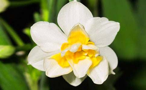 ���Ƽ���ˮ�ɻ��۲��ռ�3ƪ