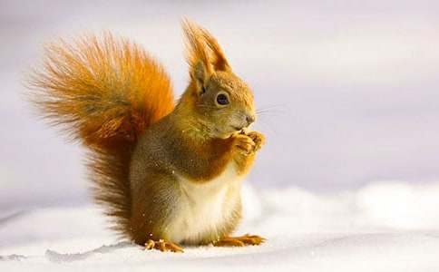 С������Ķ���˯ǰ����