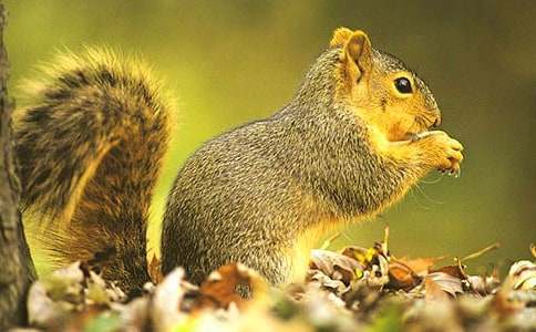 �й�С������С��ѻ˯ǰ����