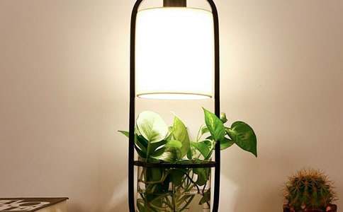 ̨��״�����ġ����š�