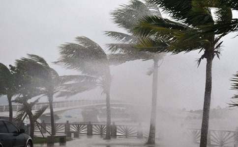 ̨��Ӧ��Ԥ��(ͨ��12ƪ)