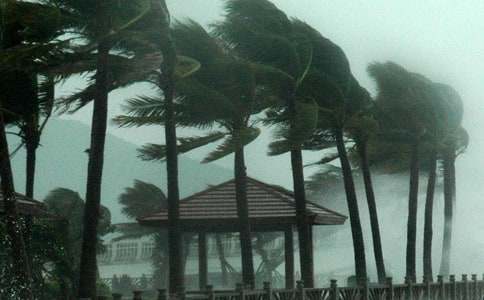 防台风工作总结(合集12篇)