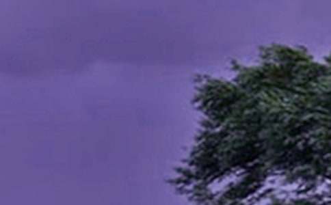 Ԥ��̨�繤���ܽ�