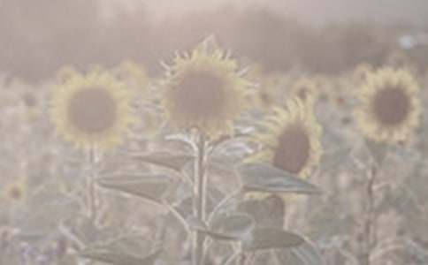 ̫�������꼶����