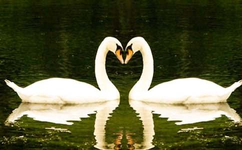 ����졷�Ķ���