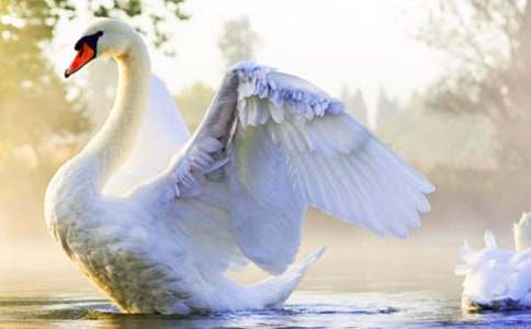 ���������ˮ���������