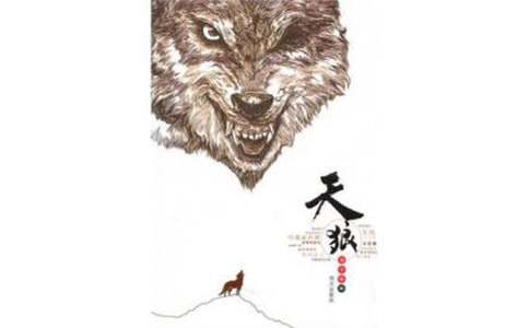 �����ǡ������12ƪ