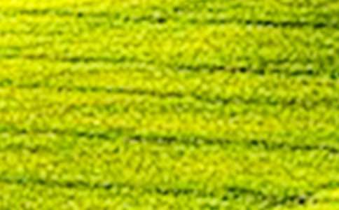 ��Ұ�����