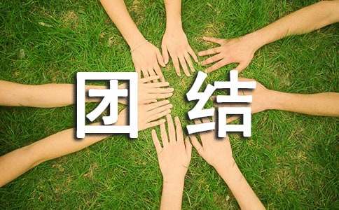 ���Ƽ����Ž������600��4ƪ