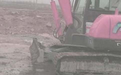 �ھ���ɷ�ת��Э����4ƪ