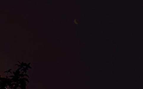 ˯ǰ����ͯ������(7ƪ)