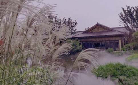 ����ѡ������Ȫ����