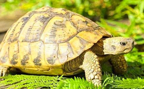 ����ѡ���Ҽҵ�С�ڹ�����4ƪ