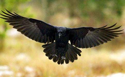 �����ѻ��ˮ�̰�[����9ƪ]