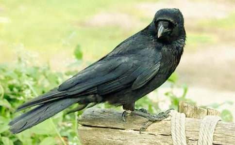 ��ѻ��ˮ˯ǰ���£���ѡ20ƪ��