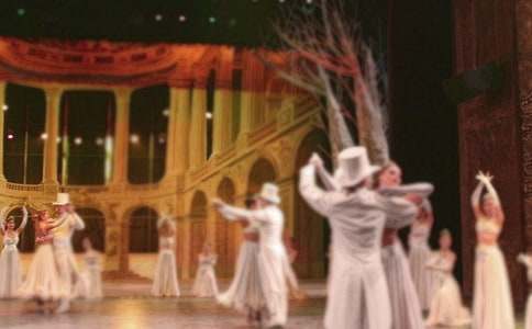 舞蹈理想作文300字3篇