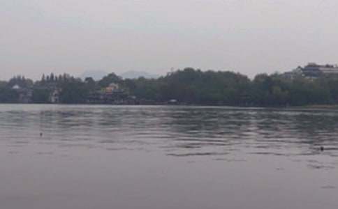 写西湖的作文600字六篇