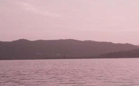 【精选】西湖的作文600字9篇