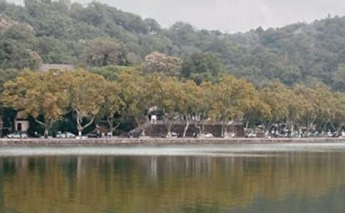 实用的西湖的作文600字