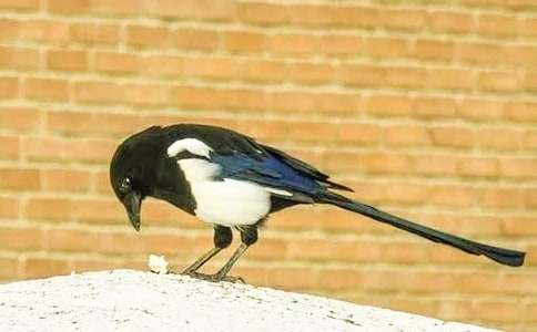 �ߺ�ϲȵ˯ǰ���£���ѡ10����