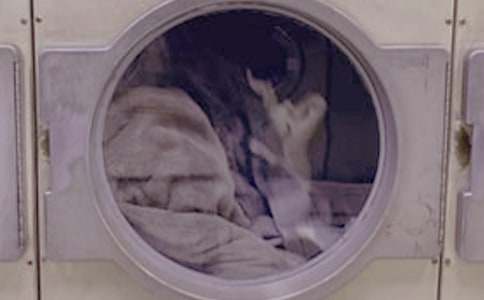 ��һ��ϴ�·�����15ƪ(ʵ��)