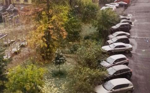 【精品】下雪日记范文汇编8篇