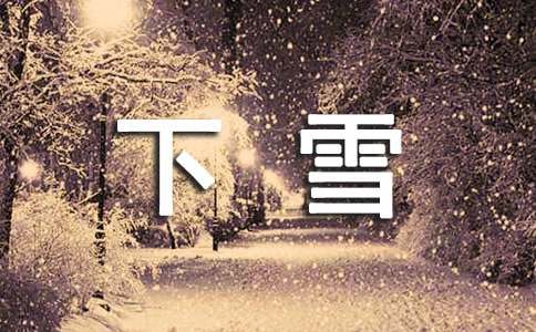 下雪日记模板集合六篇
