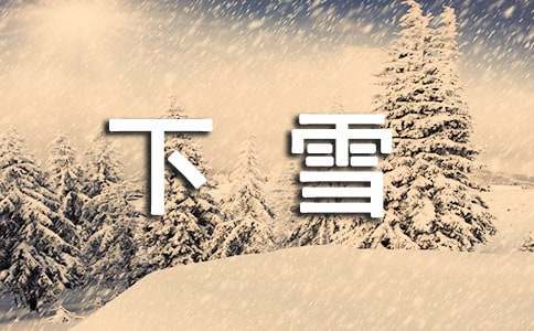 (集合)下雪日记