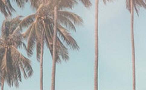 ���ȵ��ļ����꼶����