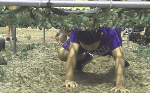 [��ѡ]ʵ�õ�����Ӫ����