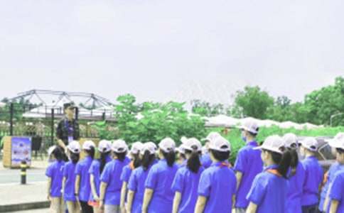 夏令营作文300字7篇(精选)