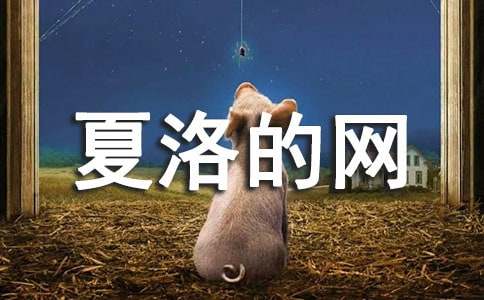 《夏洛的网》读后感(14篇)