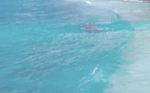 夏日趣事作文600字(精选20篇)