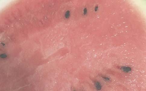 夏日的苍蝇睡前故事