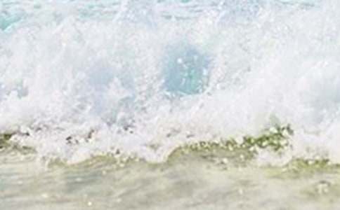 ���Ƽ�������Ķ�������300����ƪ