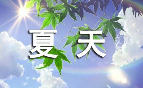 夏天作文600字(共3篇)