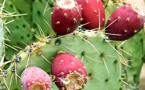 ����������500��