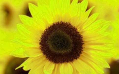 ���տ�����600�֣���ѡ22ƪ��