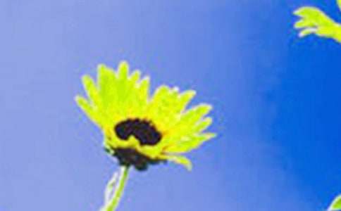 [ͨ��]���տ�����15ƪ