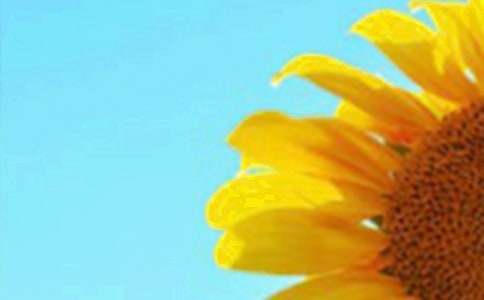 ��ϲ�������տ����Ľ���[15ƪ]