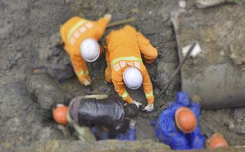 ɭ���������������ܽ�