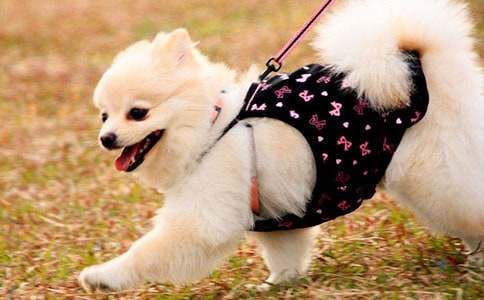 С��״������(14ƪ)