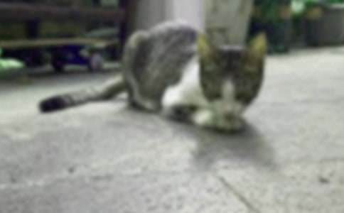 Сè����ʾ���ĺϼ���ƪ