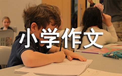 ��ѡ�ɳ��ķ���Сѧ���ľ�ƪ