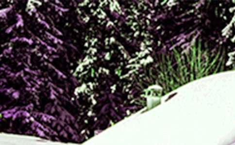 �а�Сѩ�����̰���ͨ��18ƪ��